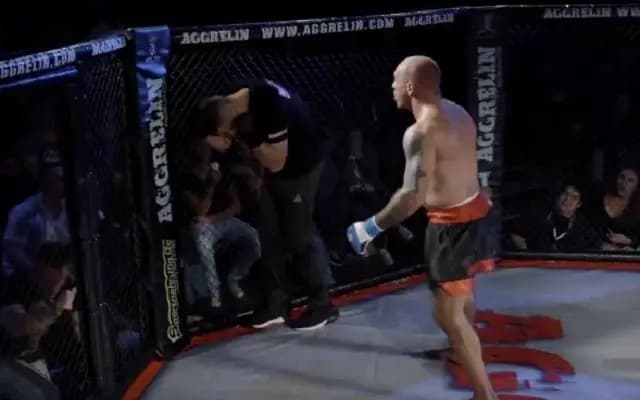 Австрийский боец MMA после проигранного поединка избил рефери (видео)