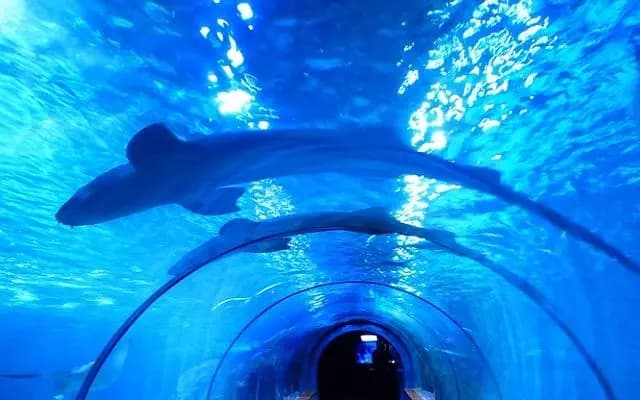 "Дом Моря" в Вене – один из самых интересных аттракционов Австрии