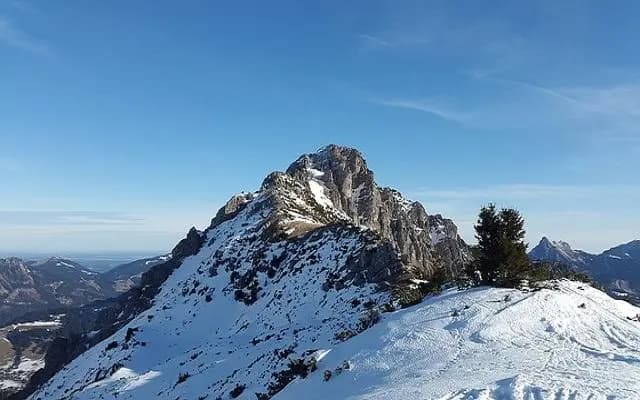 На горной вершине Ötscher обнаружен огромный деревянный фаллос