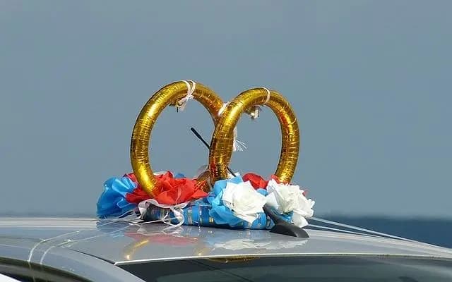 В Вене чеченец устроил стрельбу во время движения свадебного кортежа