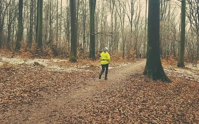 В округе Гмунден женщина была подвергнута нападению во время пробежки по лесу