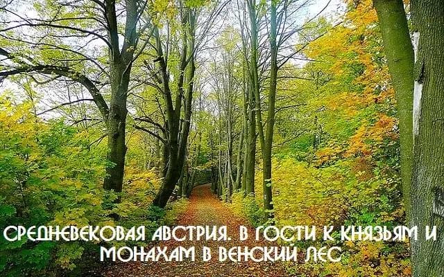 Средневековая Австрия. В гости к князьям и монахам в Венский лес