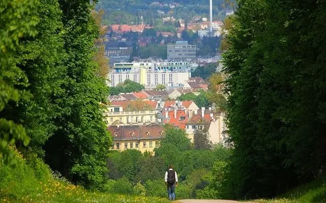 Единение с природой: Бесплатные прогулки в окрестностях австрийских городов