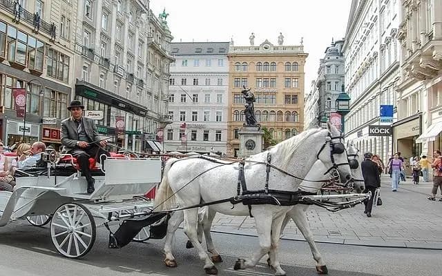 Живая и повседневная Вена