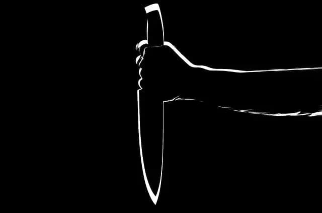 Афганец-убийца девушки в Штайере пойман в Вене