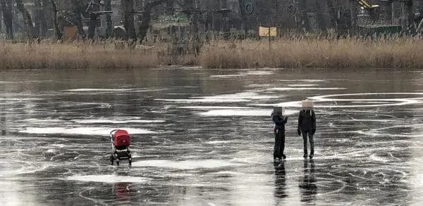 Слабоумие и отвага на льду Старого Дуная.