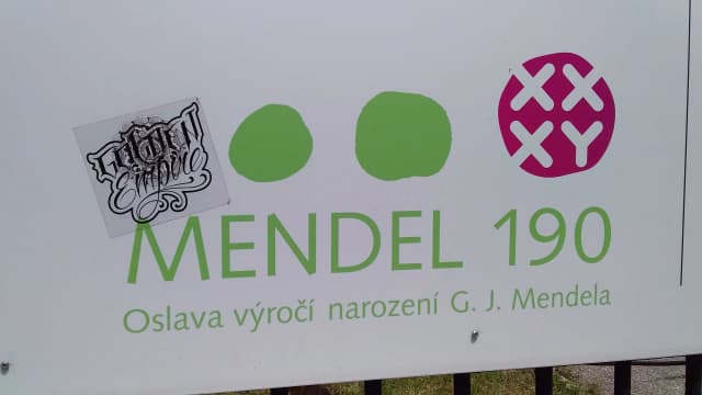 Немецкий кронпринц на чешской горошине