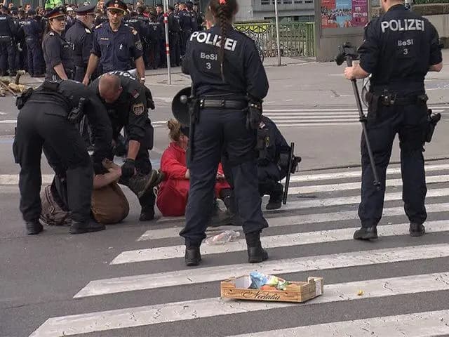 Видео жесткого задержания на демонстрациях в защиту  климата  в Вене появилось в сети