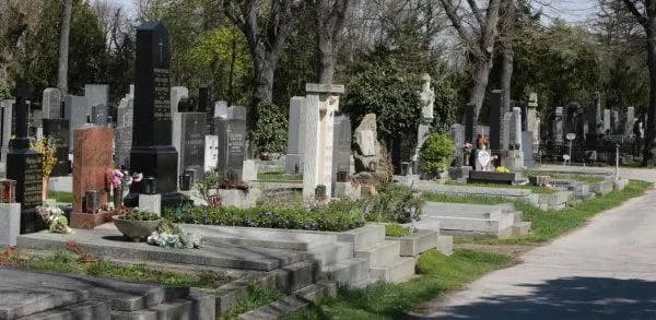 Основные причины смертей  австрийцев в 2018 году