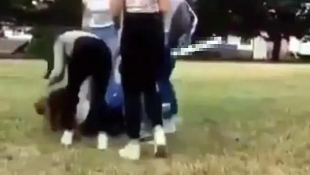 Видео избиения беззащитной  жертвы девичьей бандой  в Вене попало в сеть