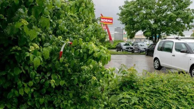 Задержан подозреваемый в убийстве в Амштеттене, за информацию о котором было назначено вознагрждение в 5000 евро