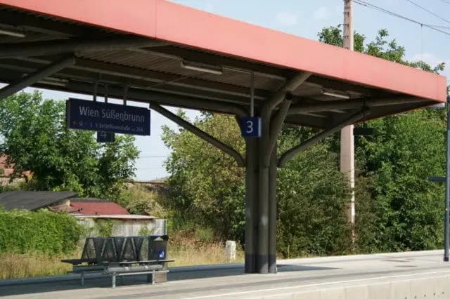 Безбилетница из России травмировала контролера в районе Вена-Донауштадт