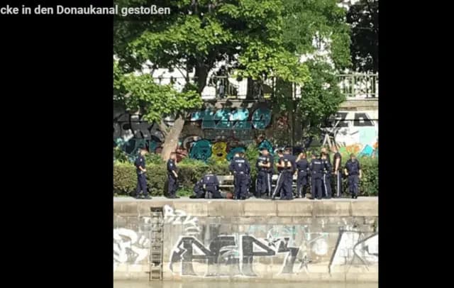 Психически  больной человек столкнул прохожего с набережной в Дунайский канал