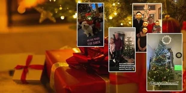 Австрийские знаменитости похвастались своими елками