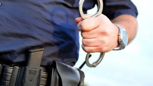 В Вене  российская пара была задержана  за грабеж  магазина электроники