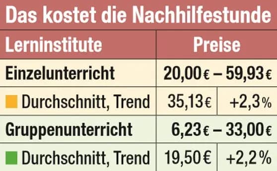 В Австрии подорожало репетиторство: сколько теперь стоит 1 час обучения