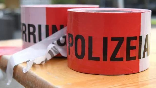 Тройное убийство в Вене: мать убила детей