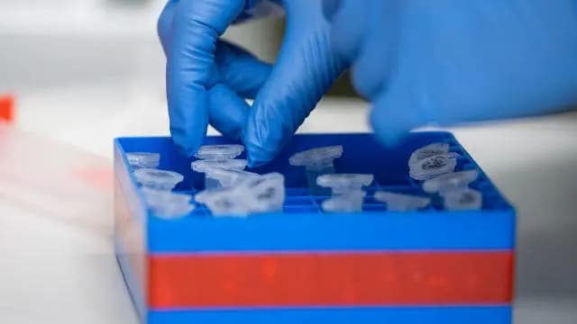 Австрия вырвалась в мировые лидеры по количеству новых инфекций