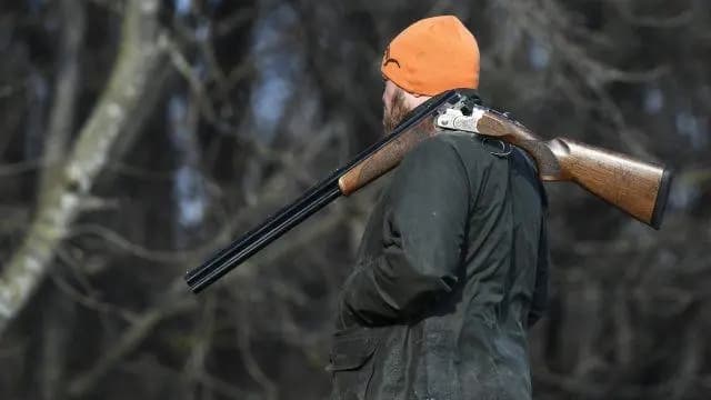 В Австрии в 2020 году отмечен рекордный спрос на оружие