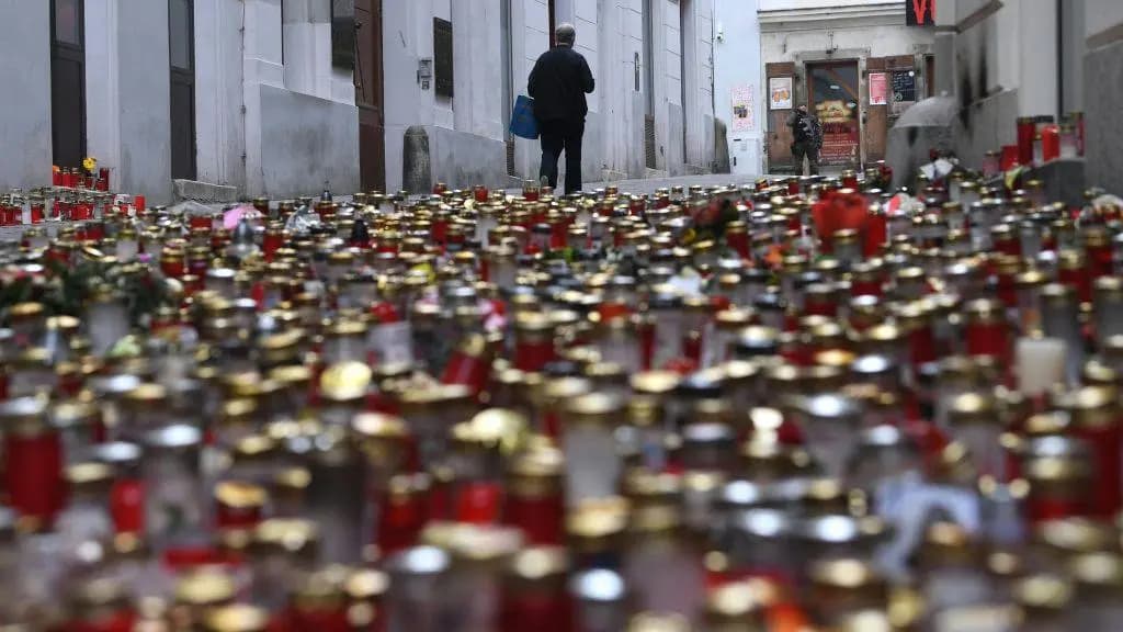 Последствия теракта в Вене: гражданский процесс против Республики