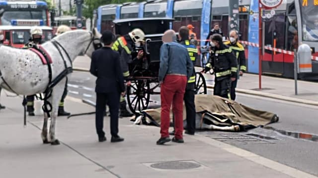 Активисты требуют полного запрета фиакров в центре Вены