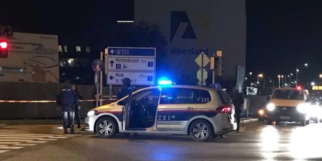 Нижняя Австрия: полицейский получил огнестрельное ранение