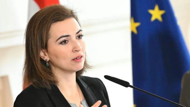 Дело о плагиате против министра юстиции Цадич прекращено