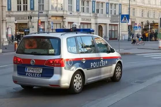 Ограбление банка в центре Вены: преступник пойман