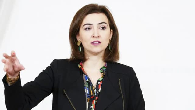 Министр юстиции Австрии Цадич приветствует ордер на арест Владимира Путина