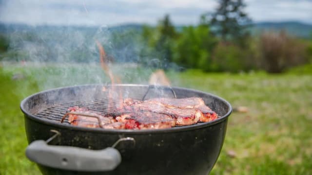 Австрия уже съела рекомендуемое годовое количество мяса