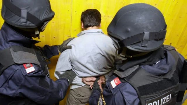 Операция спецназа WEGA в публичном доме в Вене: нападение на полицейских с ножкой стола