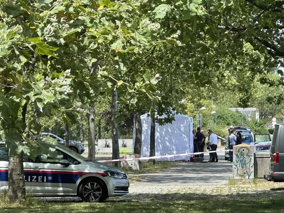 Мертвая женщина в приюте для бездомных в Вене: что стало причиной смерти