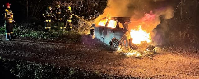 В Нижней Австрии после пожара автомобиля рядом найден голый раненый мужчина