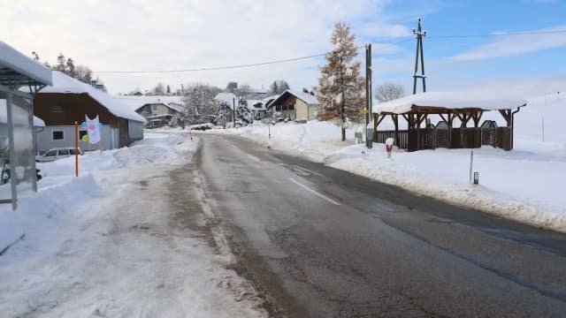 В Верхней Австрии при переходе дороги погибла школьница