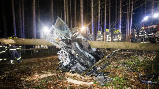 Невероятное везение: ствол дерева пробил машину женщины насквозь