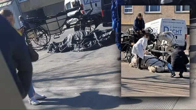 Сердечный приступ: лошадь умерла прямо на улице Вены