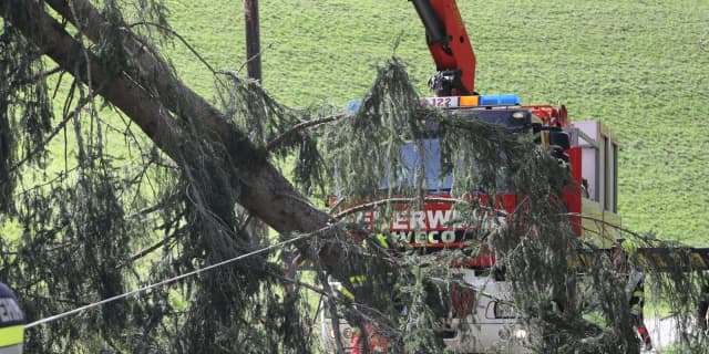 Непогода в Австрии: завалы на дорогах, отсутствие электричества и человеческие жертвы