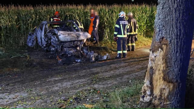 Верхняя Австрия: в результате пожара после ДТП погибли двое подростков