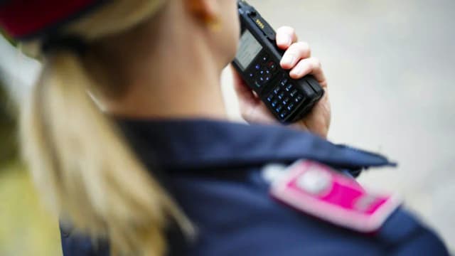 Обнаружение тел в Штирии: брат, по всей видимости, убил сестру