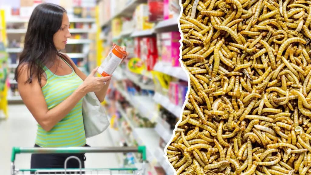 Проверка фактов: Должны ли продукты с мучными червями быть обозначены?