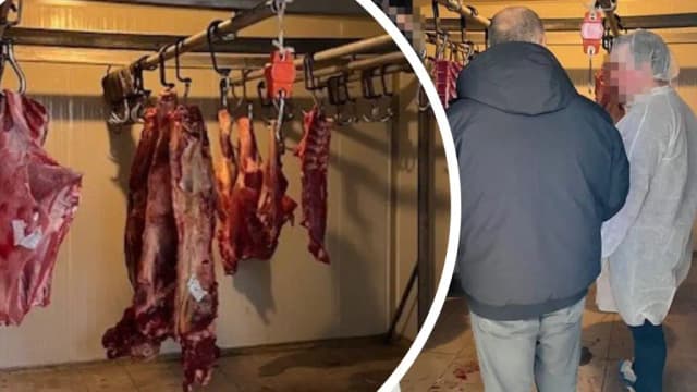 В Вене выявлено очередное нелегальное мясное производство : изъято 200 килограммов мяса