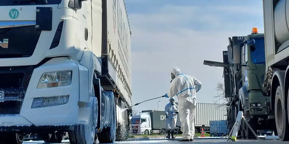 Ящур: пять стран вводят запрет на импорт австрийских продуктов