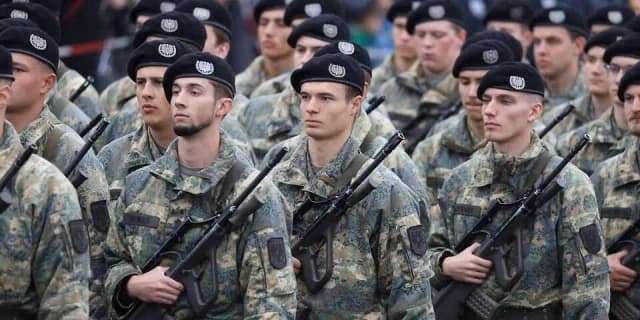 Исследование показывает: только 16% австрийцев будут сражаться за Австрию