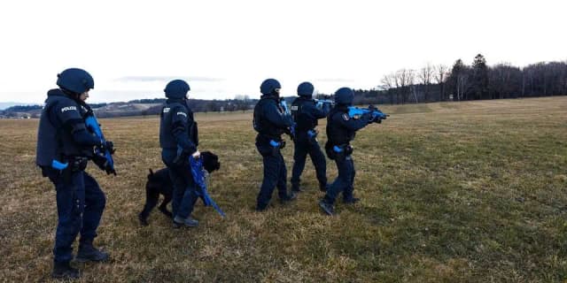 Погоня в Нижней Австрии: сбежавший заключённый пойман после ДТП и спецоперации
