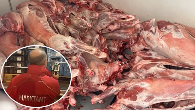 Очередной скандал с мясом — контроль 83 грузовиков в Инцерсдорфе