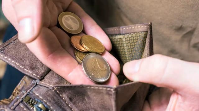 Грань выживания: сколько нужно зарабатывать, чтобы не скатиться в нищету в Австрии