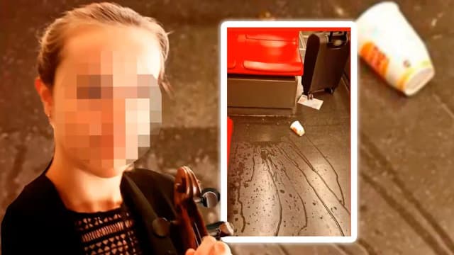 Жительницу Вены забросали фекалиями в U6: полиция бессильна, бургомистр храбрится