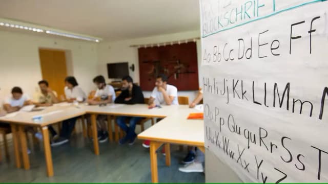 Нет немецкого — нет денег: Австрия вводит жёсткие меры для мигрантов