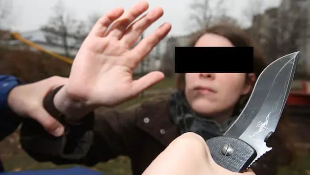 Интеграция под угрозой: молодёжные банды в Вене как симптом социальной болезни