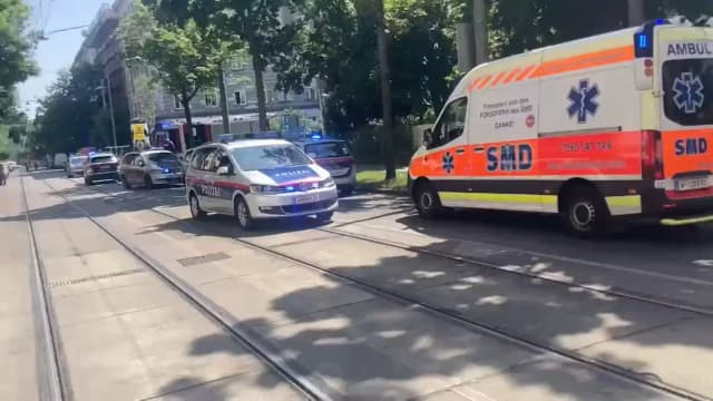 Полицейская операция в Вене: мужчина с ножом ранен выстрелами сотрудников спецназа WEGA